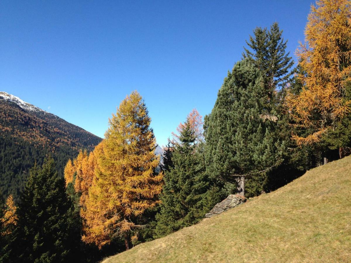 Chalet Del Bosco Вальдизотто Экстерьер фото