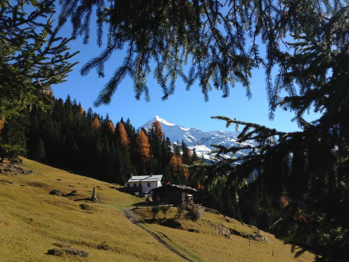 Chalet Del Bosco Вальдизотто Экстерьер фото